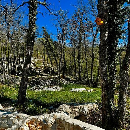 Luxury Villa Andrea Vrzika In Forest Near The Sea Zagvozd Luaran gambar