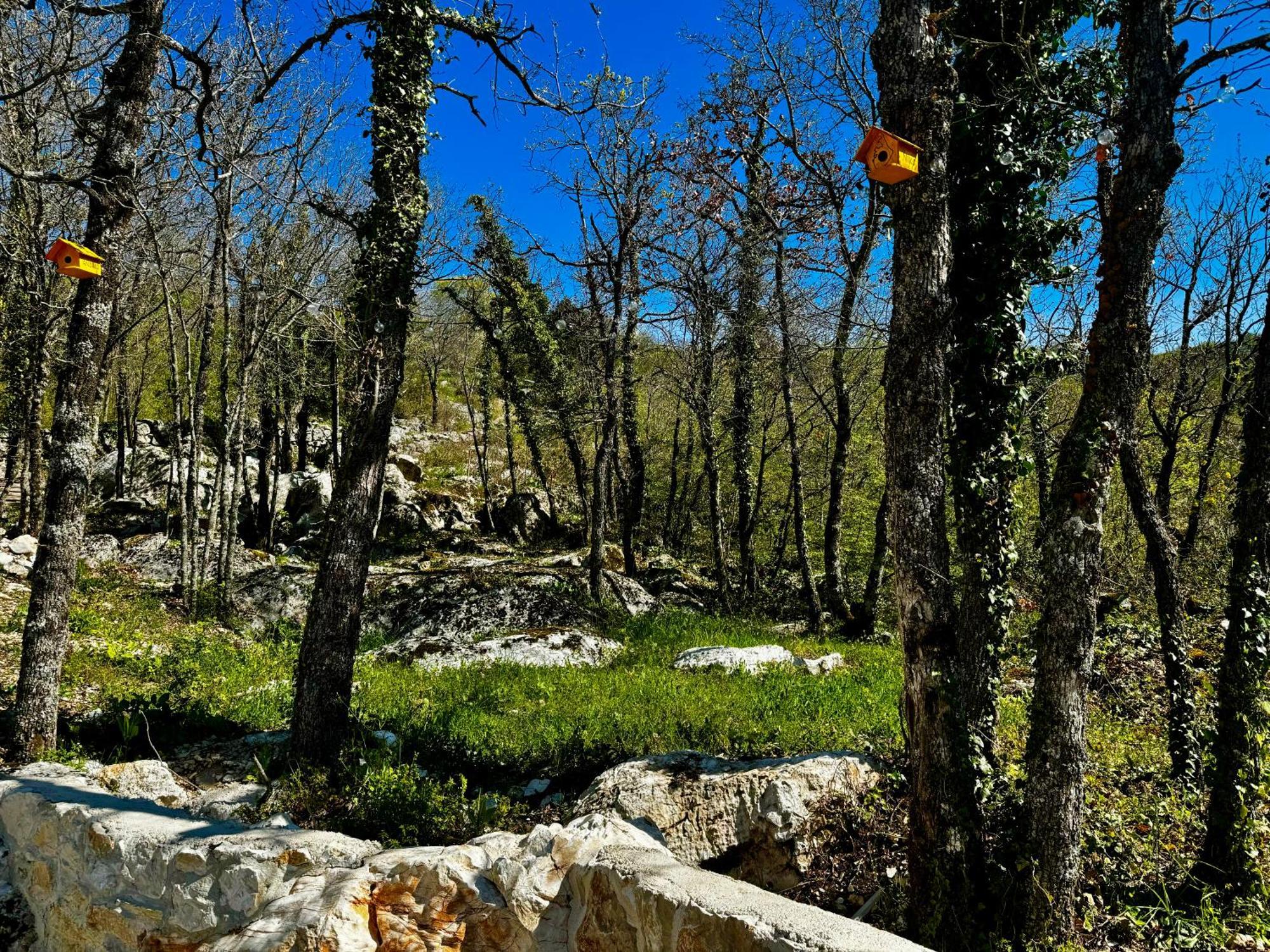 Luxury Villa Andrea Vrzika In Forest Near The Sea Zagvozd Luaran gambar